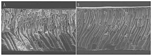 Preparation method for composite polysulfone membrane and application of composite polysulfone membrane in treatment of marine aquaculture wastewater