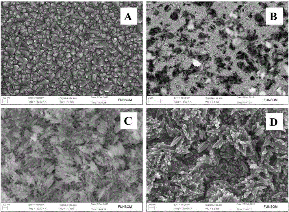 Titanium-phosphorus-codoped ferric oxide photoelectrode and preparation method thereof