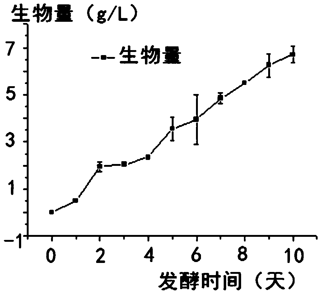 A strain of Monascus purpura and its application in food preparation