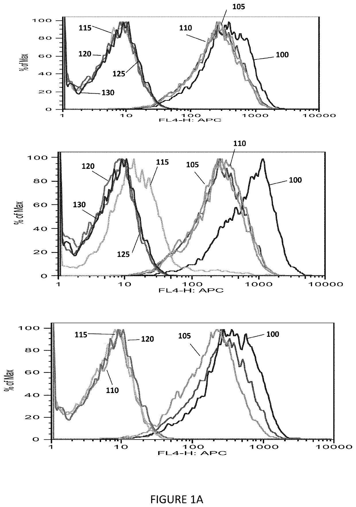 Monoclonal antigen-binding proteins to intracellular oncogene products