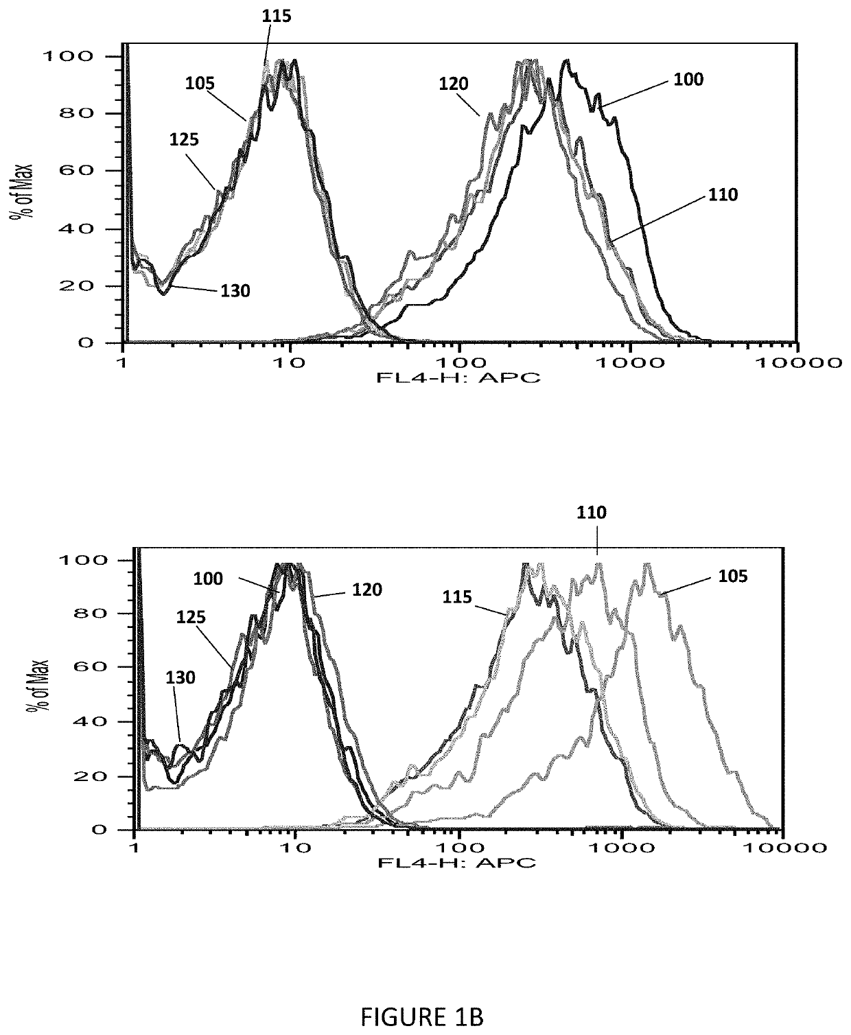 Monoclonal antigen-binding proteins to intracellular oncogene products