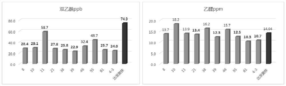 Efficient breeding method of ultrahigh-concentration beer yeast strain