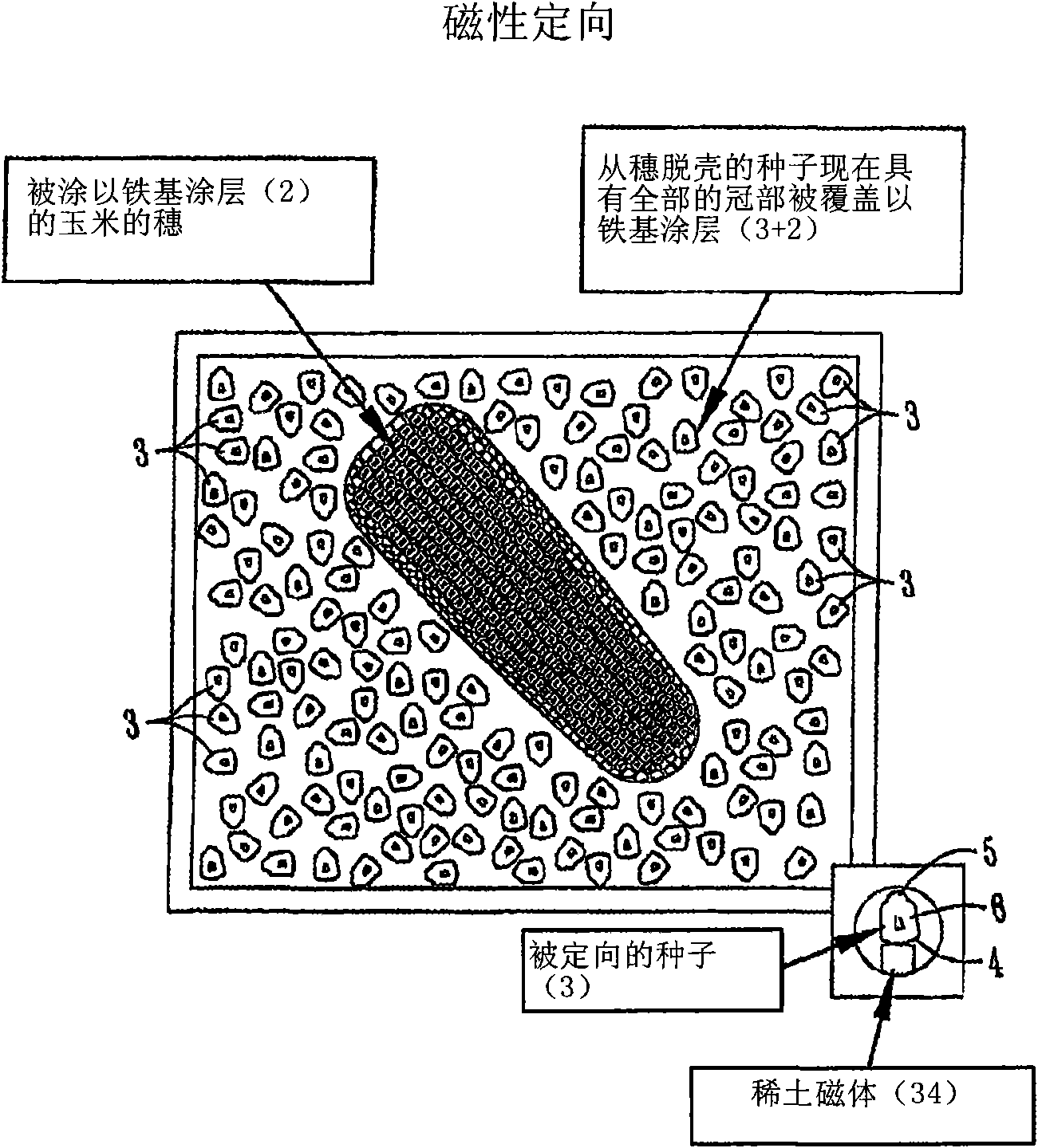 Methodologies, processes and automated devices for the orientation, sampling and collection of seed tissues from individual seed