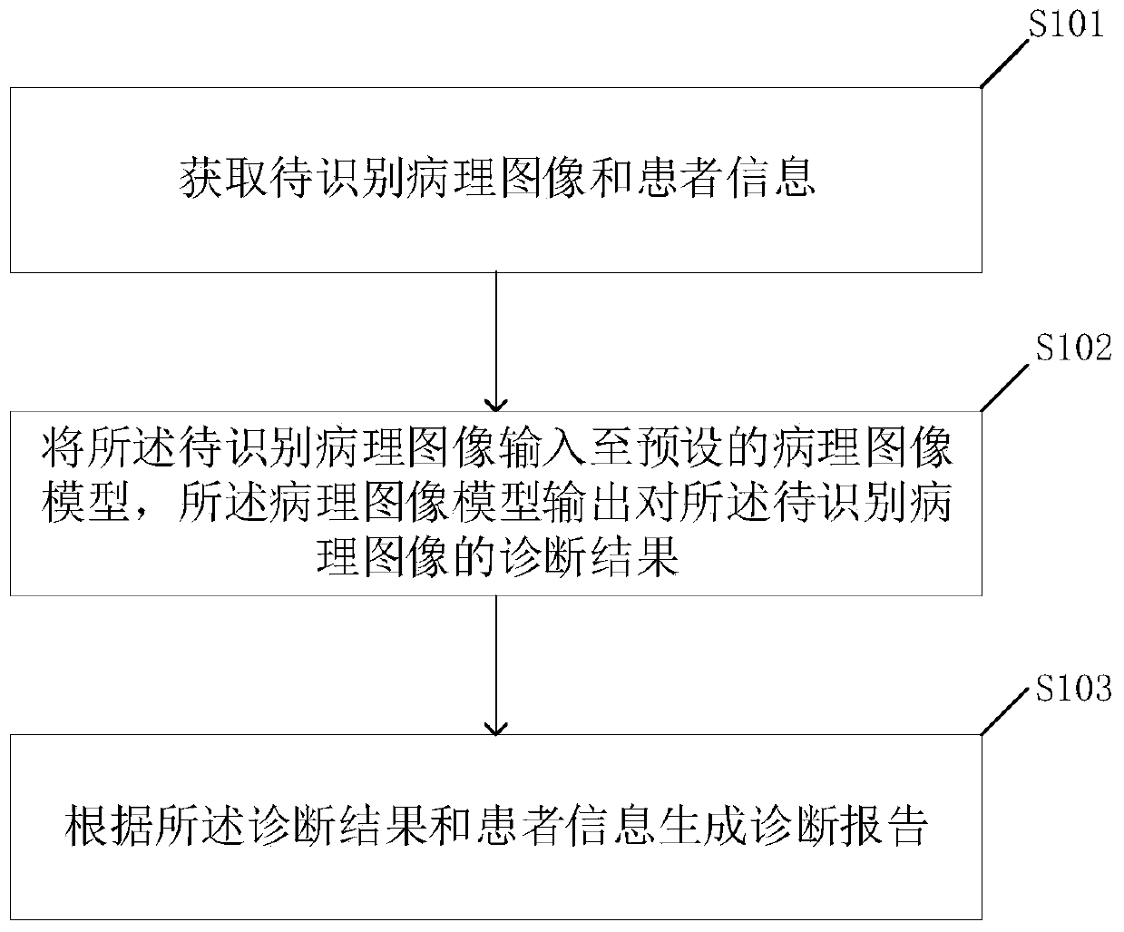 Pathological auxiliary diagnosis method