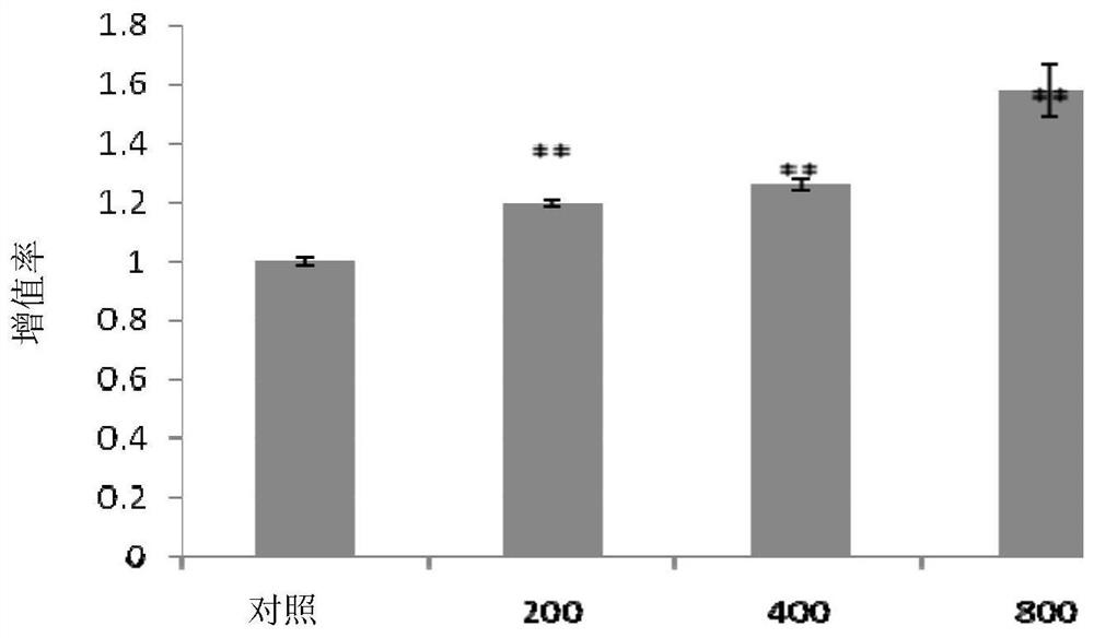 Peptide milk powder formula for children with immune regulation function and preparation method thereof