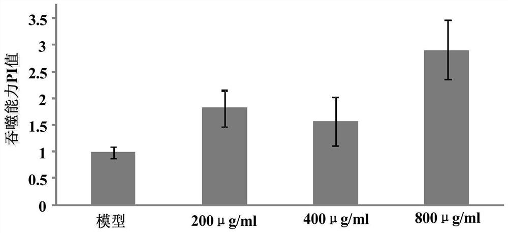 Peptide milk powder formula for children with immune regulation function and preparation method thereof