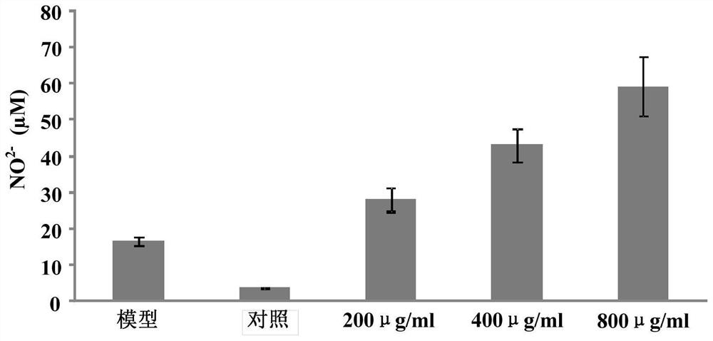 Peptide milk powder formula for children with immune regulation function and preparation method thereof