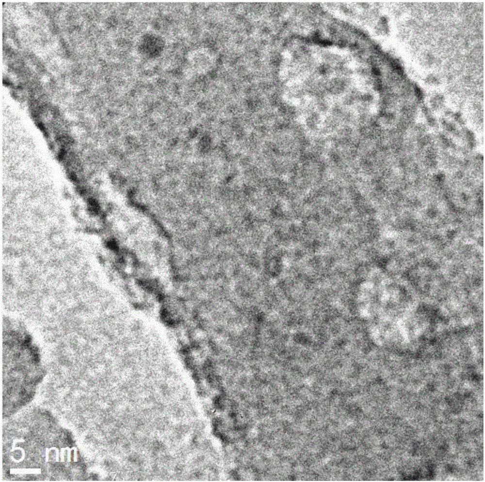 Preparation method of porous carbon nanotube