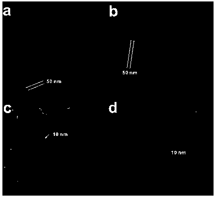 Ultra-thin bismuth oxyhalide nanosheet as well as preparation and application thereof