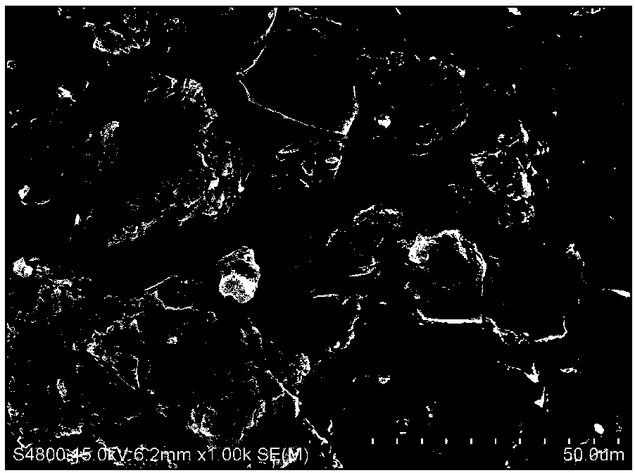 Efficient biomass carbon electrochemical oxygen reduction catalyst and preparation method and application thereof