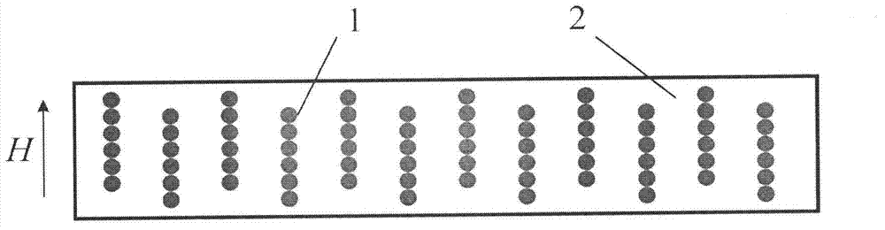 Unidirectional transparent composite magnet and preparation method