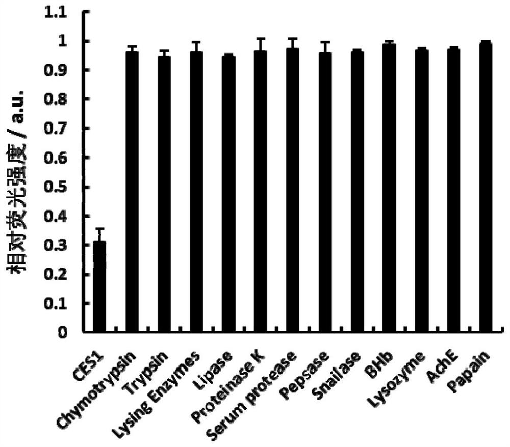 Novel BODIPY fluorescent probe for detecting carboxylesterase 1, preparation method and application thereof