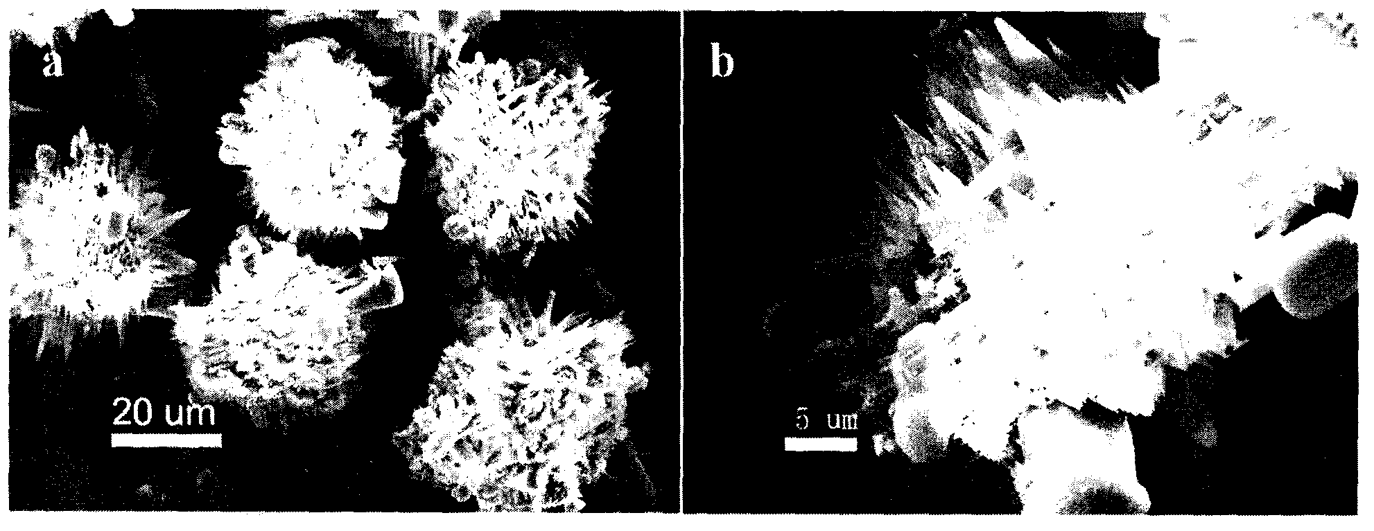 Preparation method of mesoporous zeolite molecular sieve