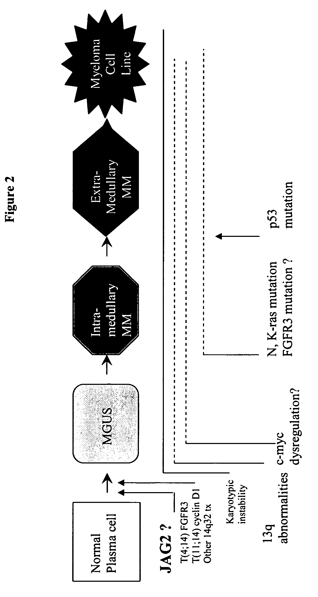 Use of NOTCH pathway interfering agents for treatment of plasma cell disorders