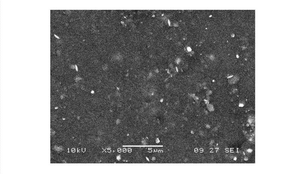 Method for conducting chemical modification on nitrile butadiene rubber surface by using oxidation solution