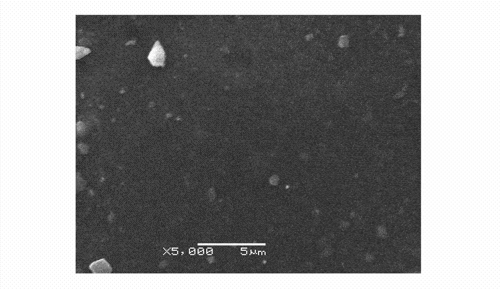 Method for conducting chemical modification on nitrile butadiene rubber surface by using oxidation solution