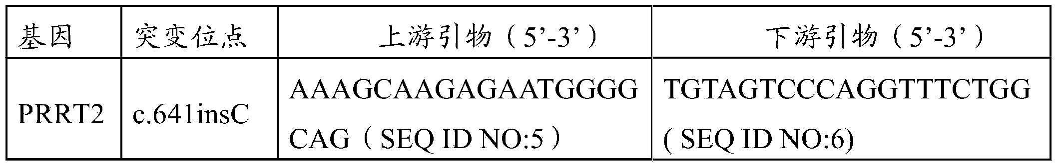 New mutant pathogenic gene of febrile convulsion as well as coding protein and application thereof