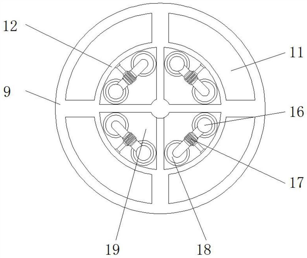 A rapid detection device for intestinal release of coated sustained-release products