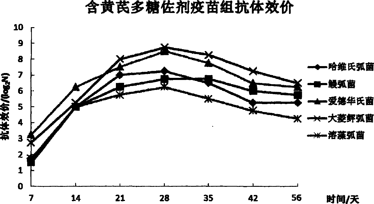 Flounders quintuplet inactivated vaccine and preparation method thereof