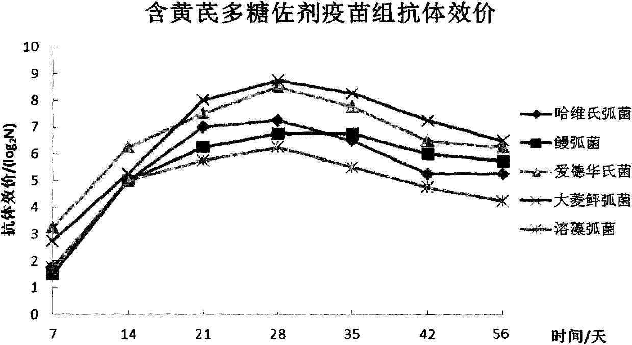 Flounders quintuplet inactivated vaccine and preparation method thereof