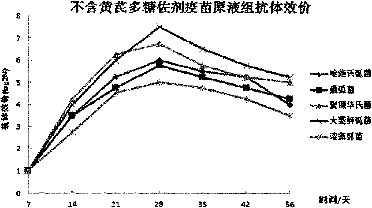 Flounders quintuplet inactivated vaccine and preparation method thereof