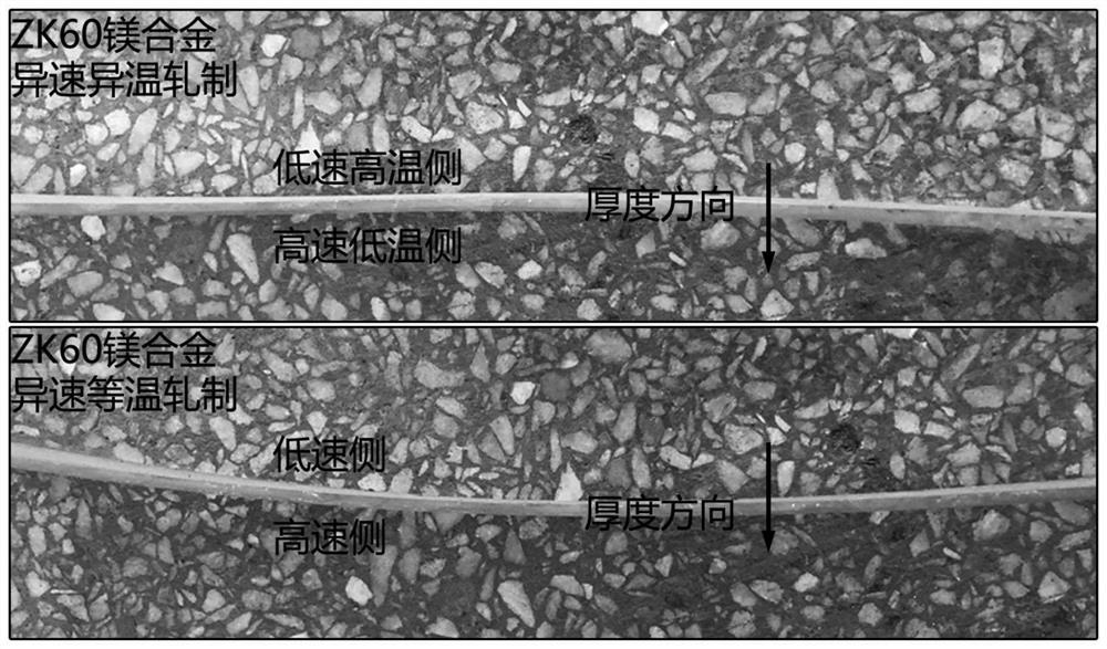 Magnesium alloy plate strip different-temperature different-speed coordinated rolling device and application