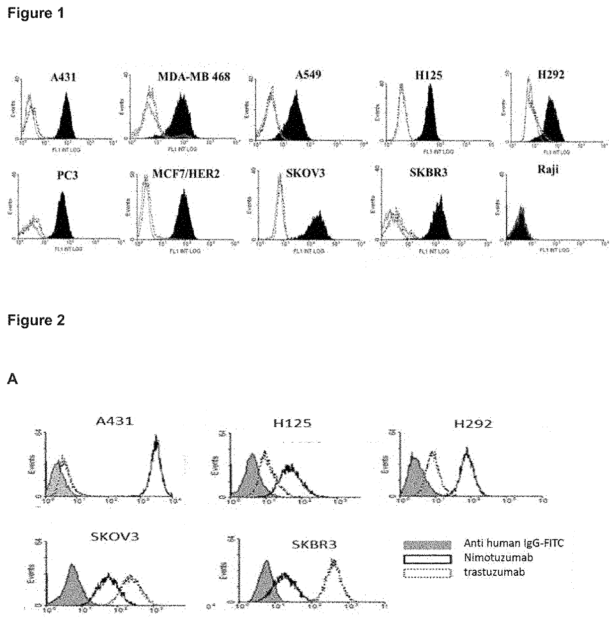 Method for the treatment of patients with carcinomas