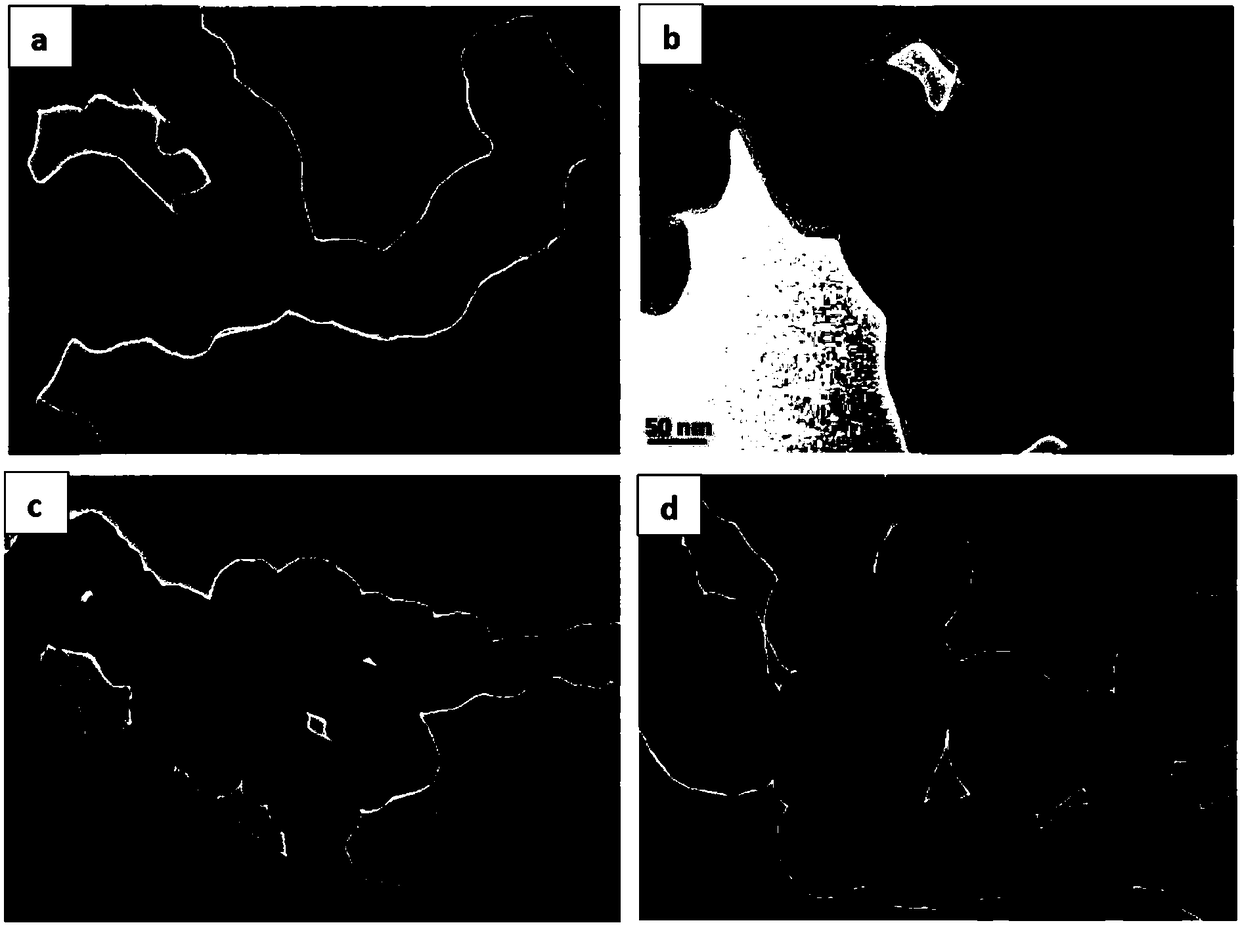 Molecularly imprinted magnetic microspheres for triazole pesticides and application of molecularly imprinted magnetic microspheres