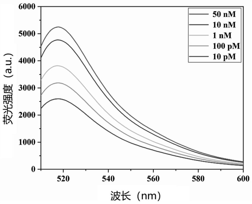 Method and kit for detecting ricin based on relative DNA walker initiation index amplification of gold nanoprobe constructed by freezing