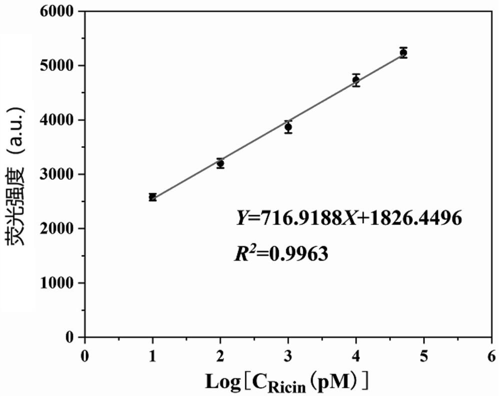 Method and kit for detecting ricin based on relative DNA walker initiation index amplification of gold nanoprobe constructed by freezing