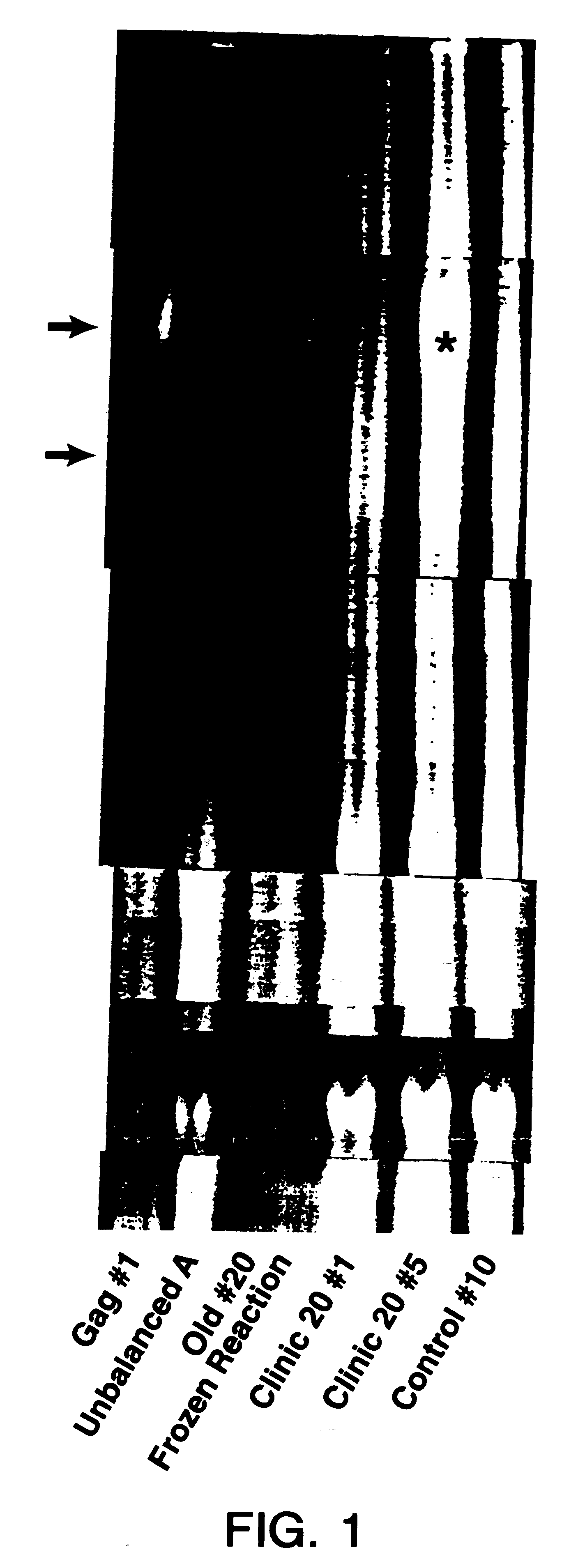 Method for the fluorescent detection of a DNA sequence in real time