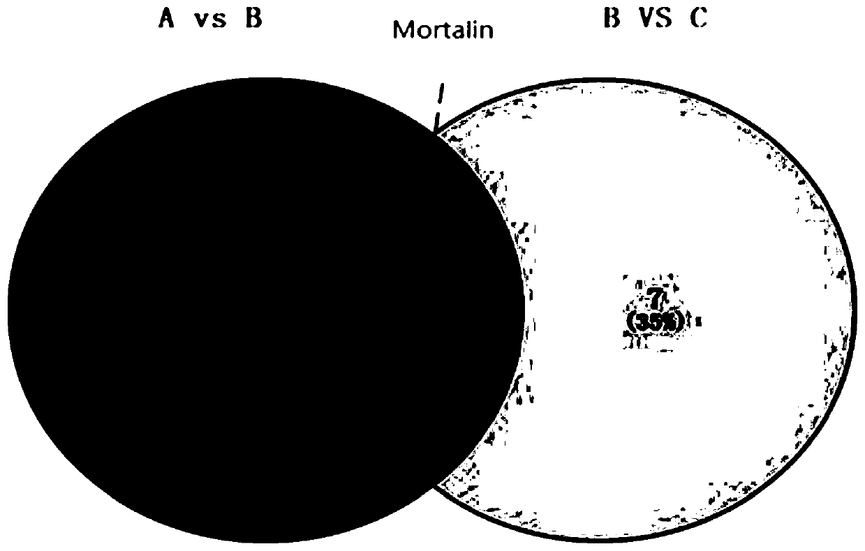 Early diagnosis marker for cervical cancer caused by HPV infection based on plasma exosome protein and application of early diagnosis marker