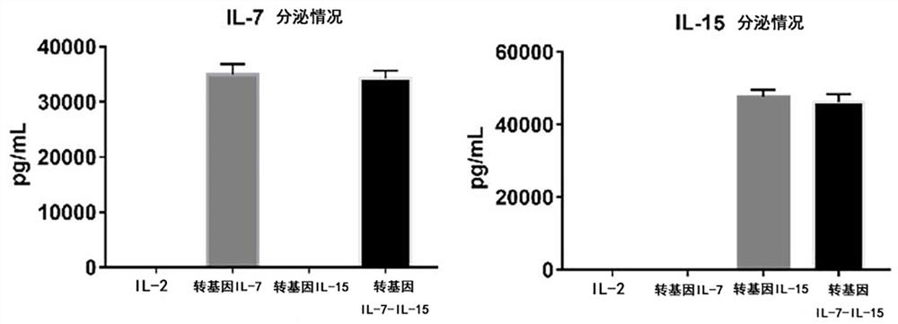 Preparation method for enhancing lethality of tumor infiltrating lymphocytes