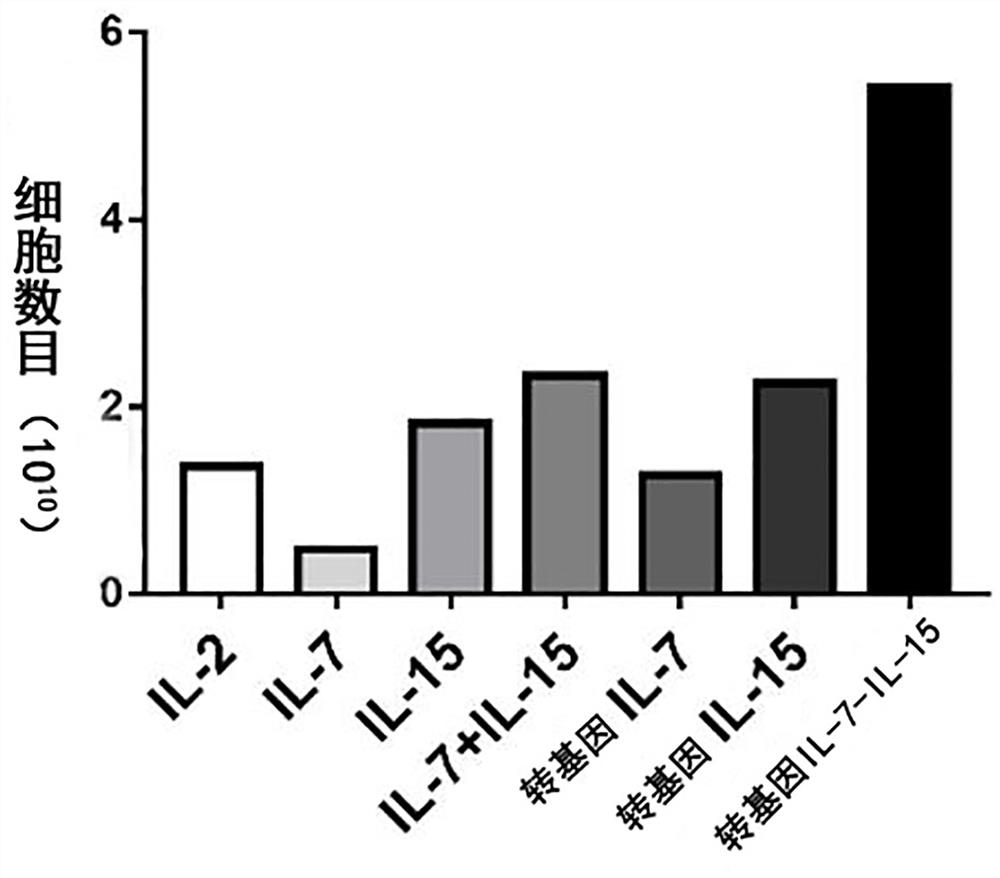 Preparation method for enhancing lethality of tumor infiltrating lymphocytes