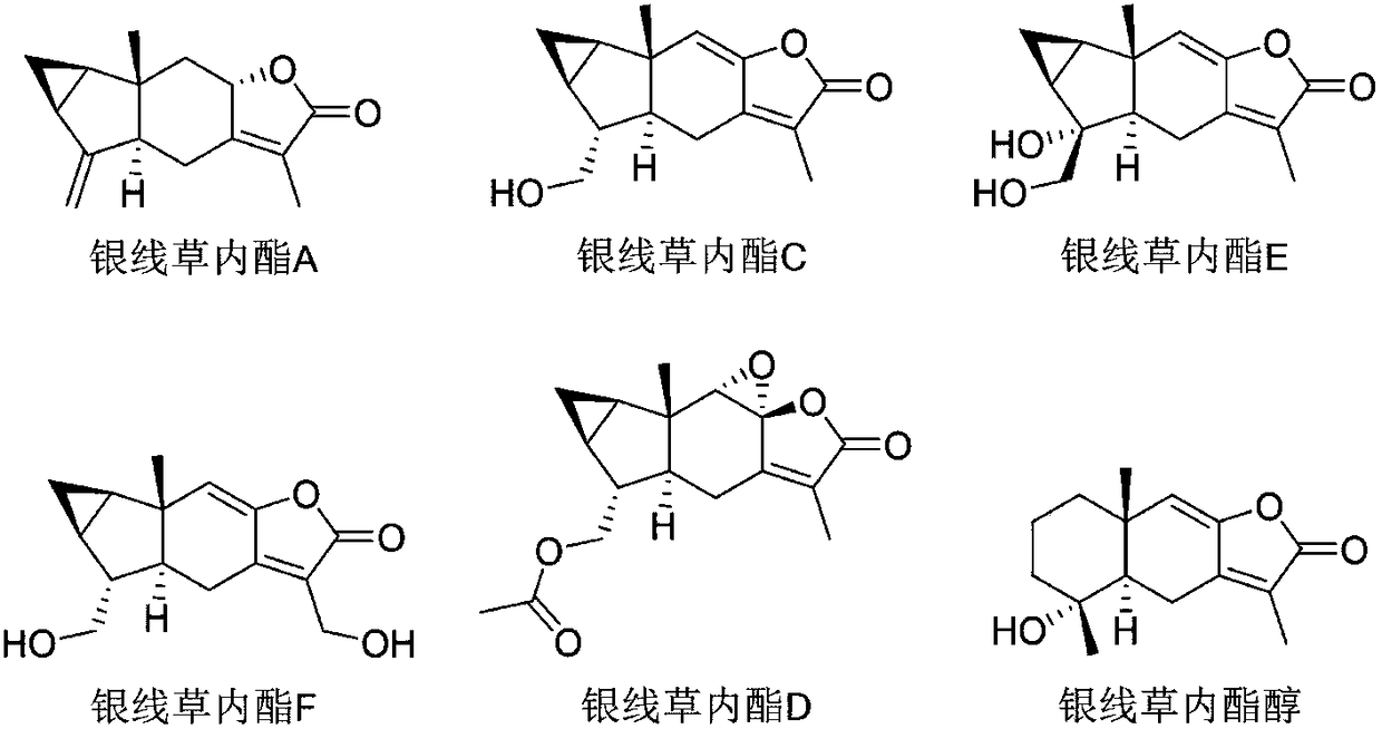 Biomedical use of chloranthus japonicus sied lactone D serving as indoleamine 2, 3-dioxygenase 1 inhibitor