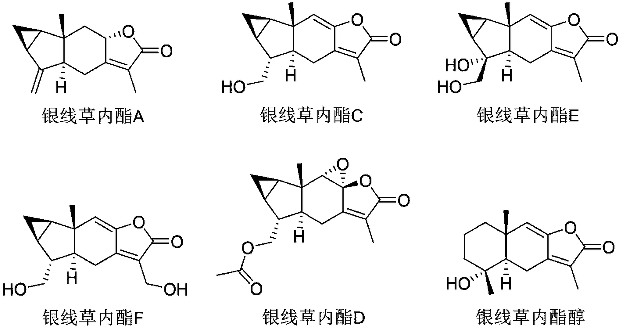 Biomedical use of chloranthus japonicus sied lactone D serving as indoleamine 2, 3-dioxygenase 1 inhibitor