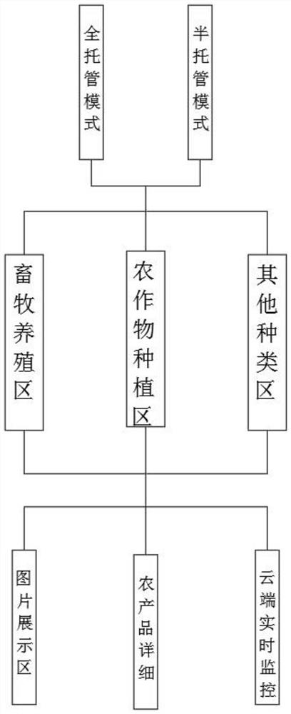 Merchant and consumer connection system capable of achieving customized ordering through applet and visual management