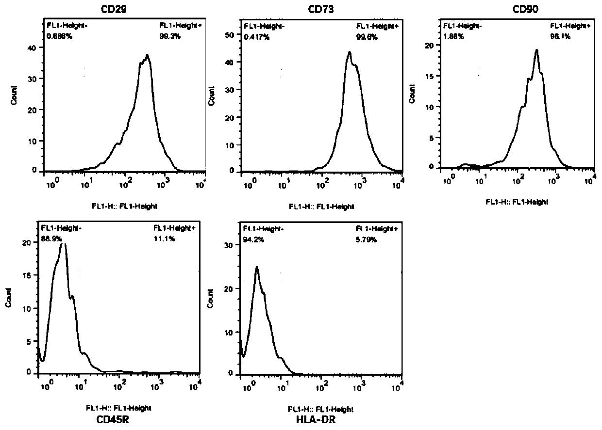 Preparation and application of exosome with efficacy of hair growth promoting