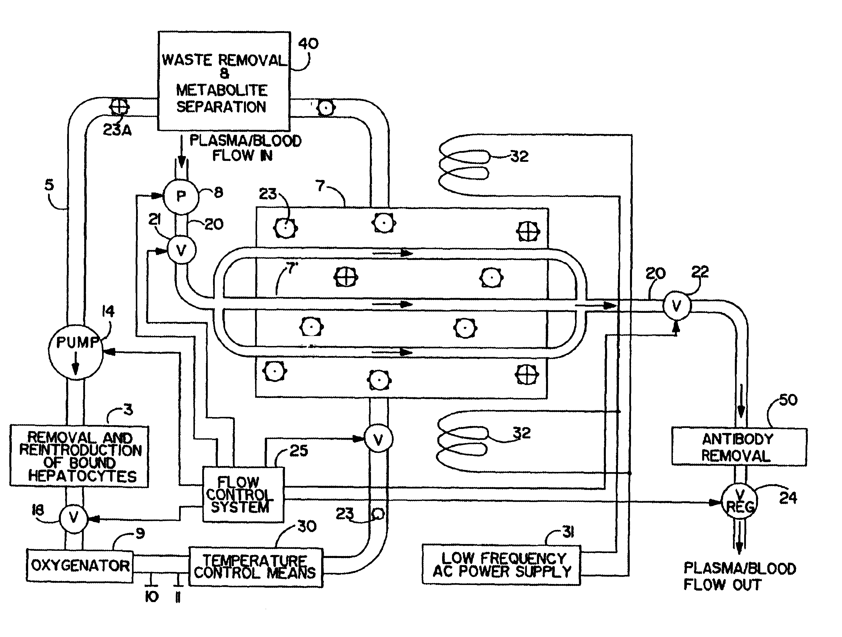 Artificial liver apparatus and method