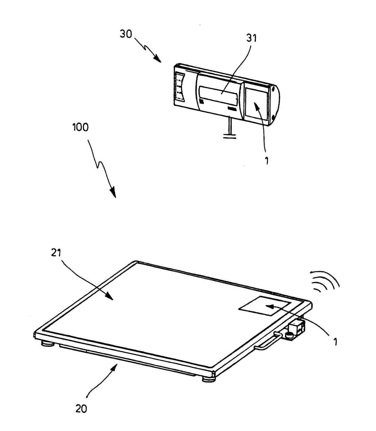 Scale with information carrier