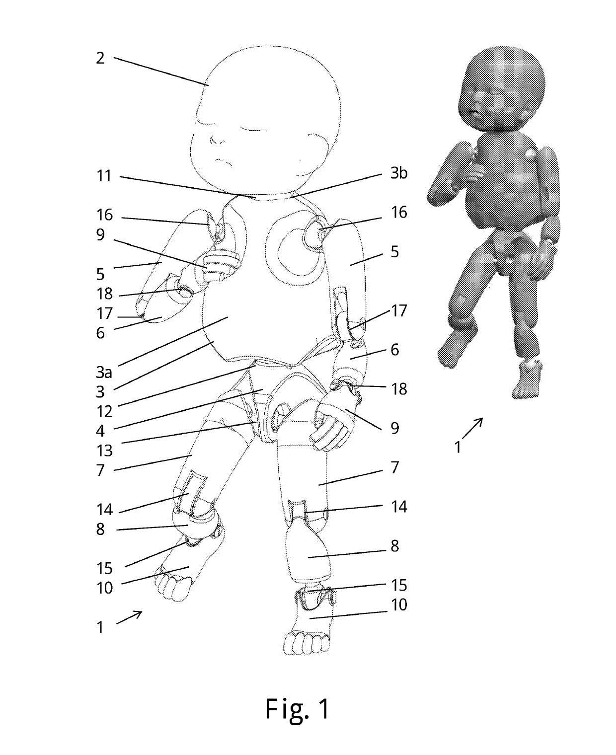 Manikin with articulated joint