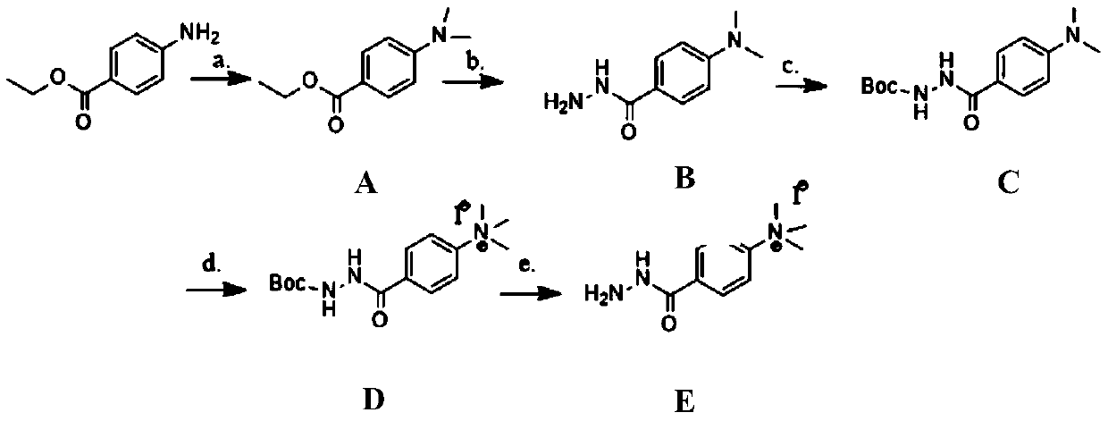 Preparation method and application of permanently charged hydrazine sugar markers