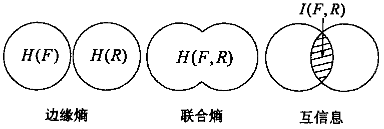 Automatic selection method of scene matching area based on image information entropy