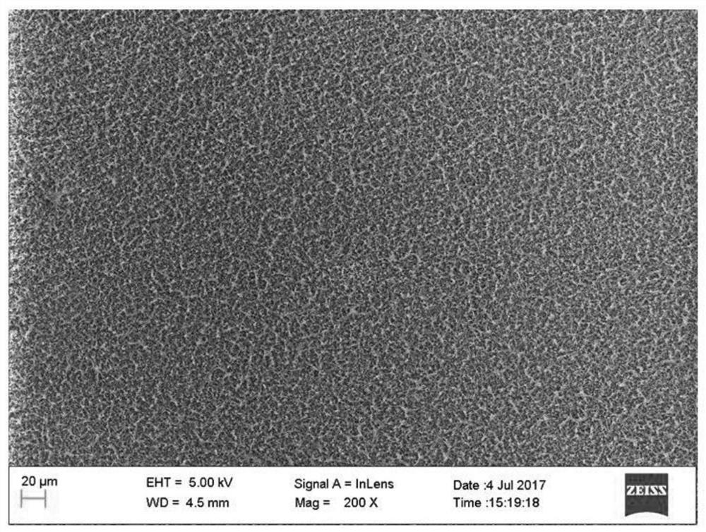 A kind of negative electrode dendrite inhibitor of lithium metal battery and using method thereof