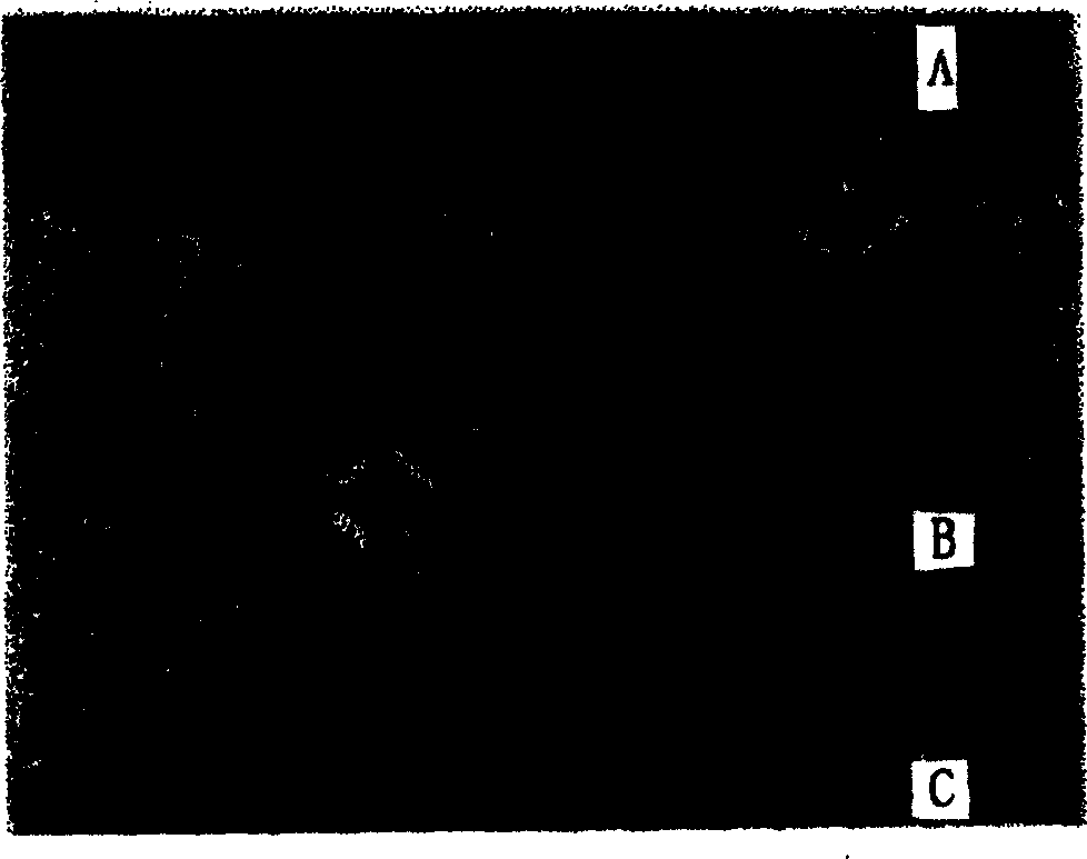 Rare earth chromium composite electroplating layer and preparing method and use thereof