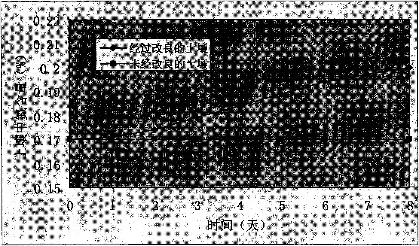 Domestication method of nostoc and application thereof