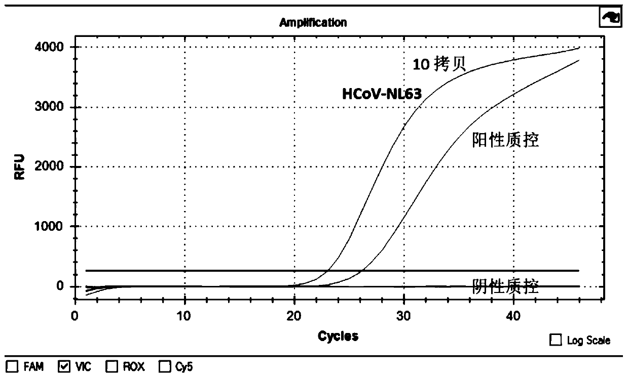 Quadruple fluorescence quantitative detection kit for simultaneously detecting four human coronaviruses