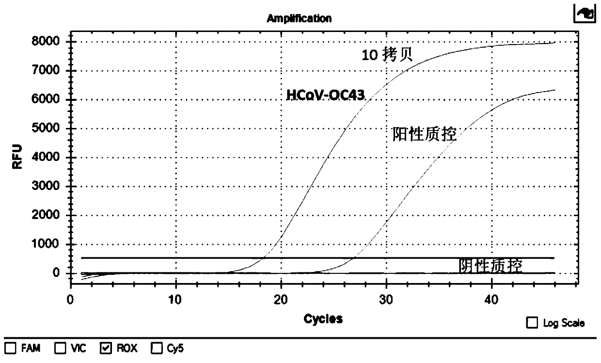 Quadruple fluorescence quantitative detection kit for simultaneously detecting four human coronaviruses