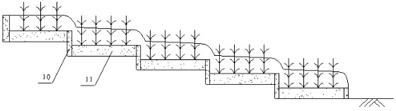 Full-section water wetland purification system suitable for normal water level of river