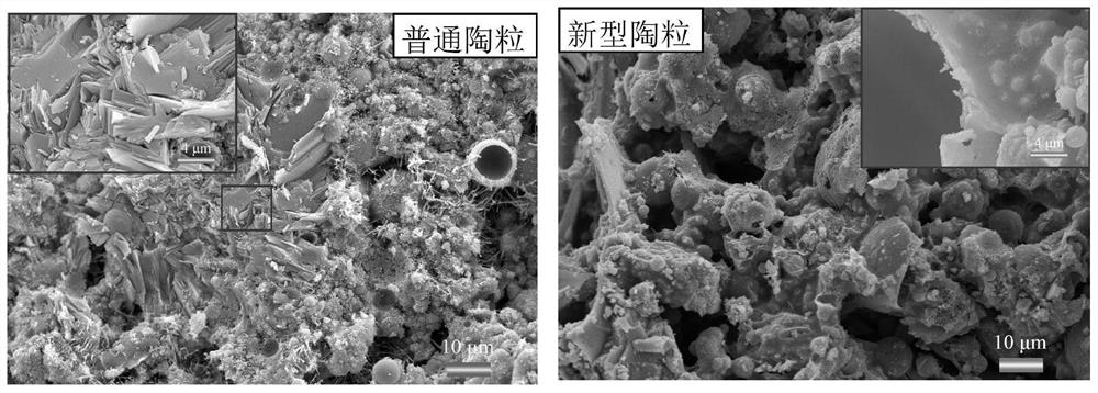 A preparation method and product of porous ceramsite and its application in sound-absorbing panels for concrete subway tracks